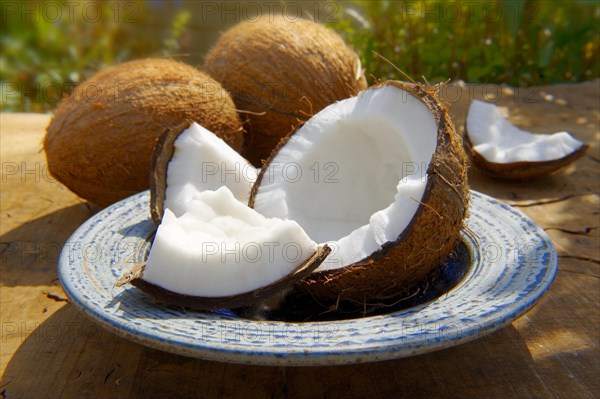 Coconuts