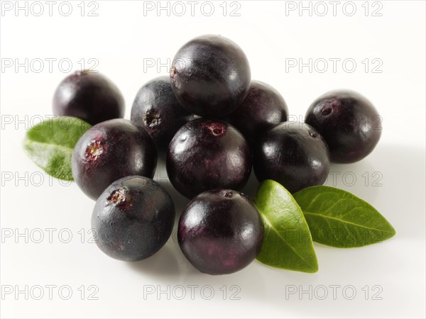 Acai berries (Euterpe oleracea)