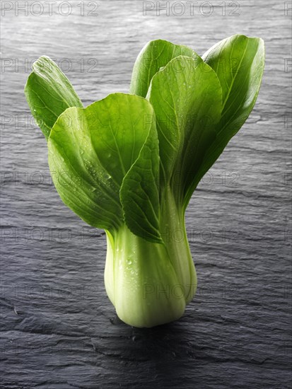 Fresh Pak Choi leaves