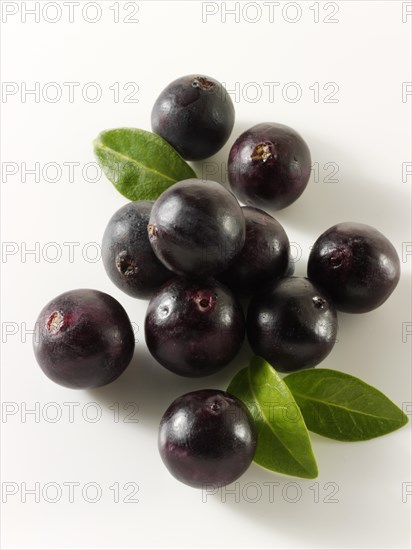 Fresh whole Acai berries (Euterpe oleracea)
