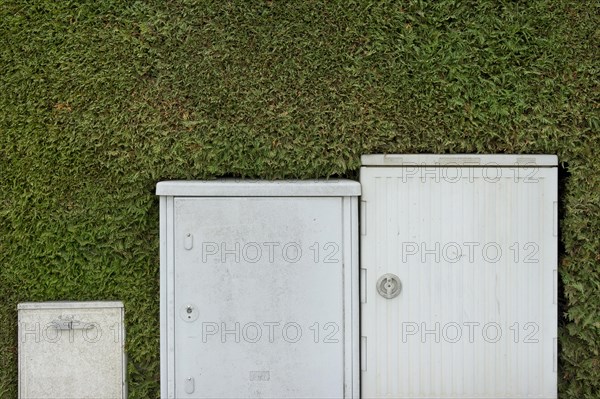 Electrical boxes and Telekom switch boxes in front of a freshly-cut hedge (Thuja)
