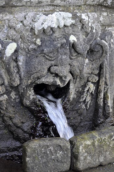 Gargoyle on a stone table