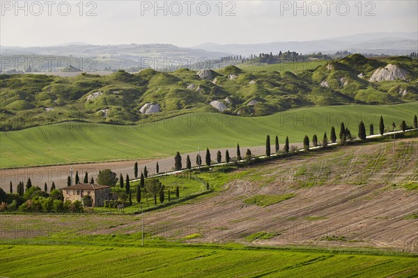 Hilly landscape of the Crete Senesi region