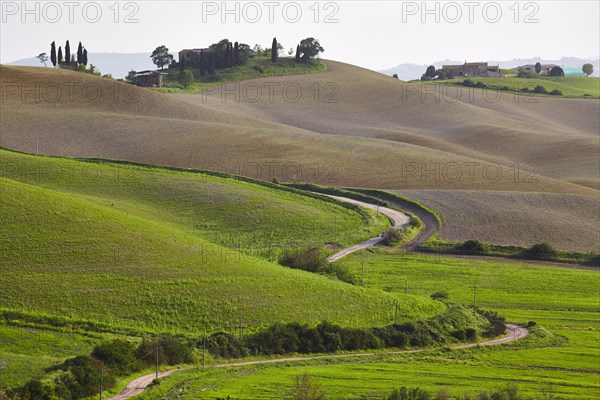 Hilly landscape of the Crete Senesi region