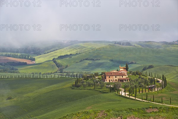 Hilly landscape around Podere Baccoleno