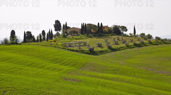 Estate with a garden and a surrounding field