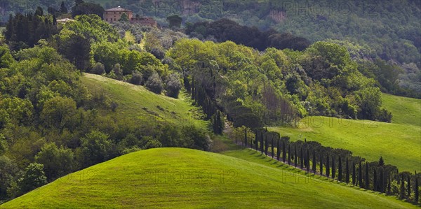 Hilly landscape of the Crete Senesi region
