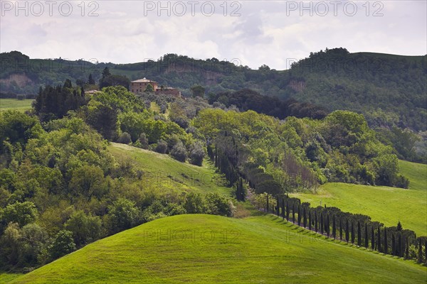 Hilly landscape of the Crete Senesi region