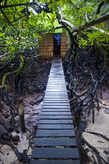 Jungle toilet on an islet