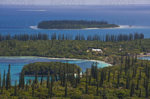 Overlooking the Ile des Pins