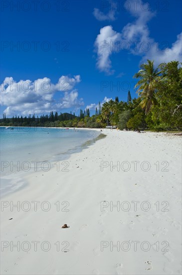 White sand beach