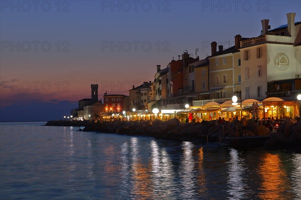 Harbour at dusk