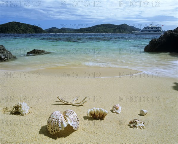 Shells