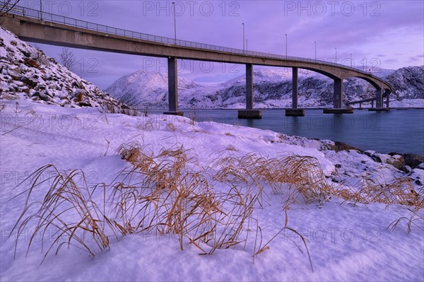 Bridge with fjord in the evening light