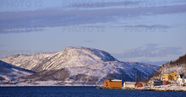 Fishing village beside a fjord with wintry mountains