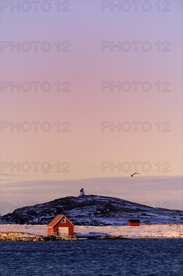 Fisherman's cottage beside a fjord with wintry mountains