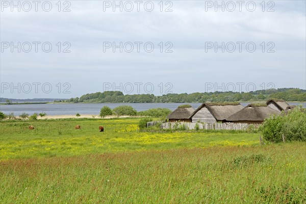 Viking houses in Hedeby Viking Museum