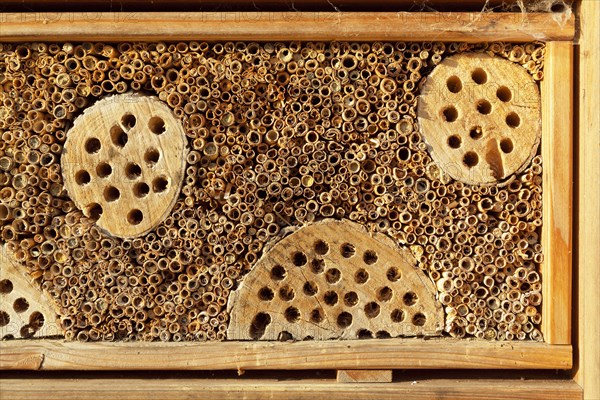 Insect hotel