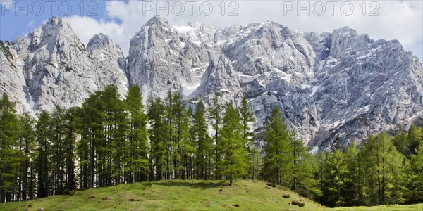 Mountain landscape near the Vrsic Pass with the 2547m high Prisojnik Mountain