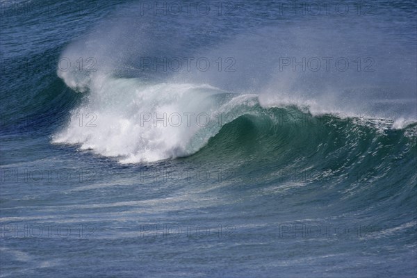 Wave