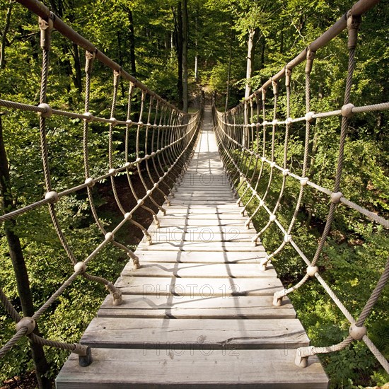 Suspension bridge along the Waldskulpturenweg forest sculpture trail in Wittgenstein-Sauerland