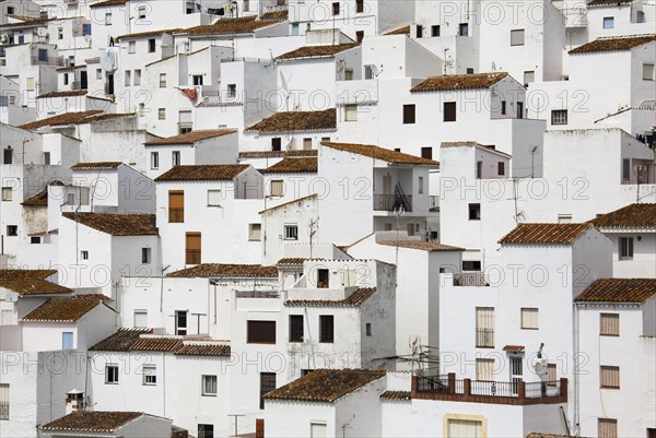 Whitewashed village of Casares