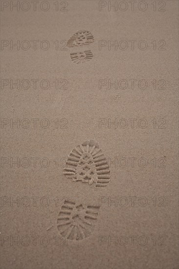 Footprints in the sand