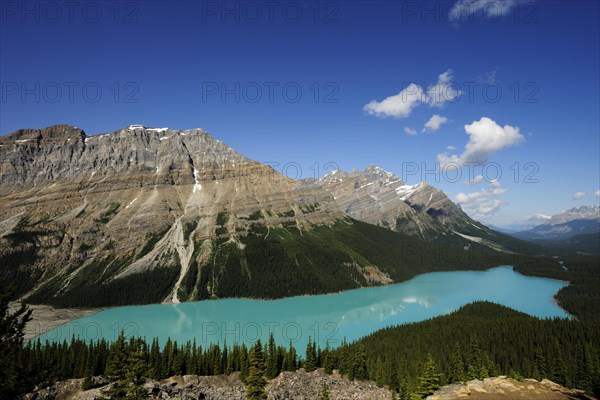 Peyto Lake in the Rocky Mountains