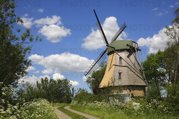 Historic Dutch windmill
