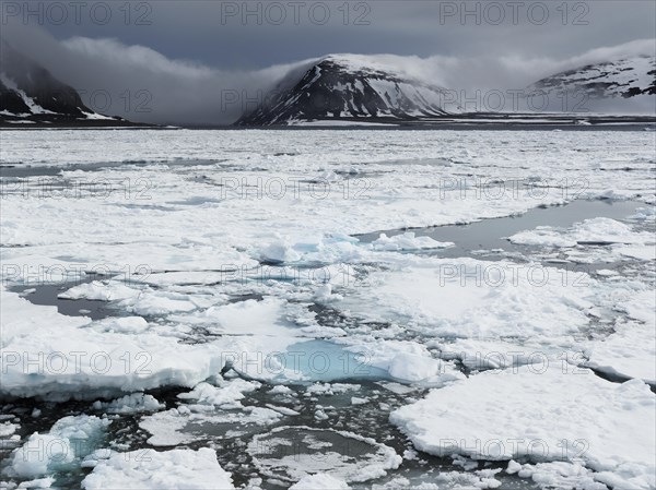 Fjord with pack ice