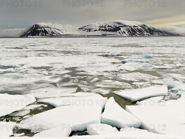 Fjord with pack ice