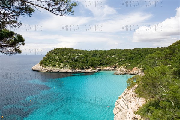 Cove