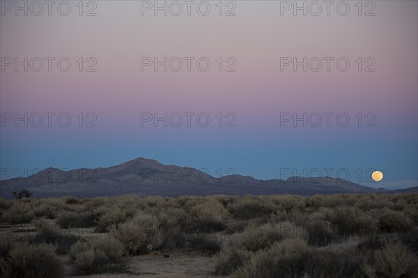 A full moon rises over Fremont Peak