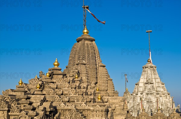 Domes and Shikhara towers at a temple complex on the holy mountain Shatrunjaya