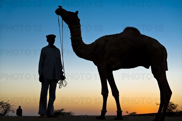 Silhouette of a man holding the reins of his camel