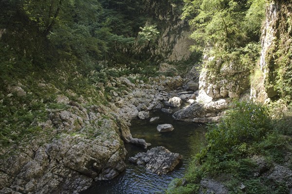 Canyon