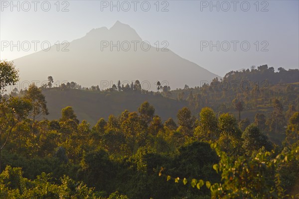 Mount Mikeno