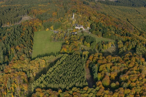 Wildenburg castle ruins in the Idar Forest low mountain range