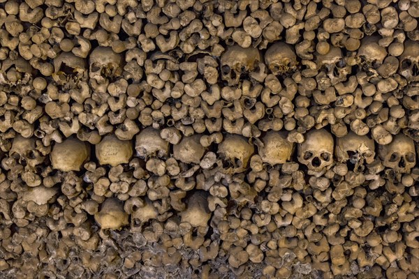 Stacked bones and skulls in the ossuary