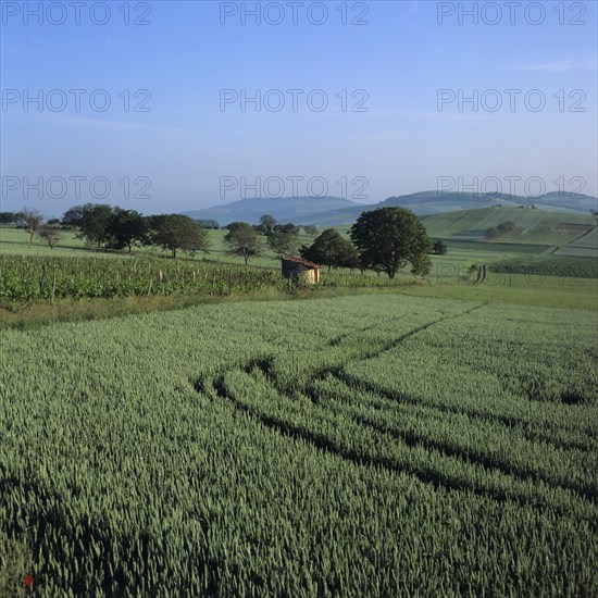 Agricultural landscape