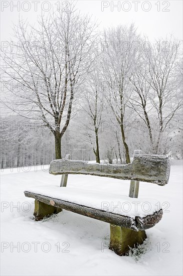 Bench in the snow