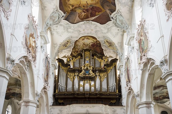 St. Fridolin's Minster