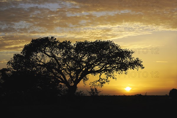 Landscape of Central Cameroon in the sunset