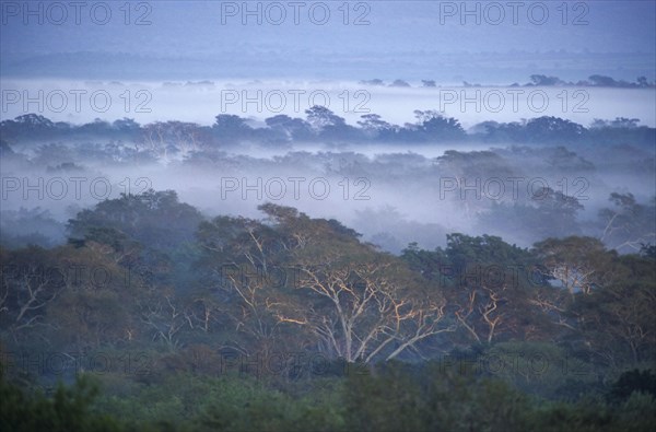 River landscape in the southern Kruger National Park