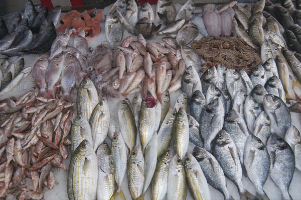 Fish for sale at the weekly market