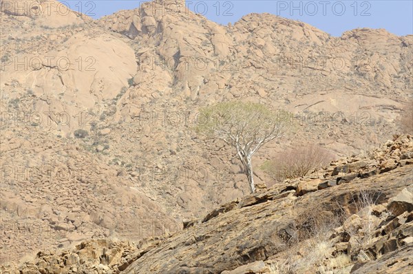 Mountain landscape along a trail to the White Lady rock painting in the Tsisab Gorge