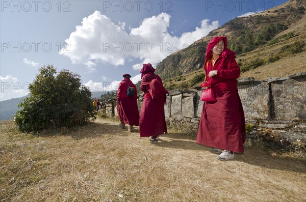 Monks and nuns wearing red cloths walking on a small path along a mountain slope