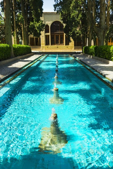 Fin Garden