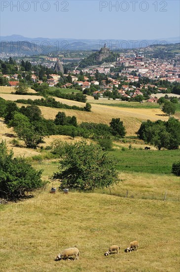 The town of Le Puy-en-Velay