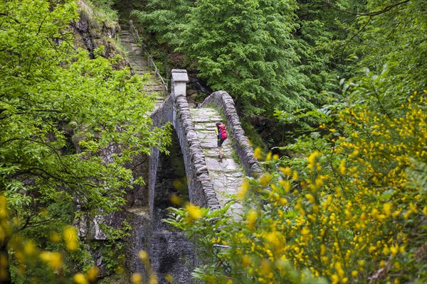 A woman hiking across the Ponte Romano bridge near Intragna
